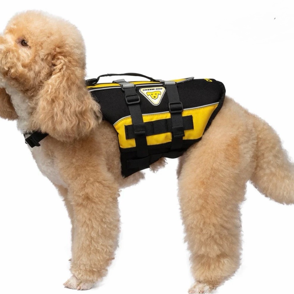 Canine Safety Life Vest - Black and Yellow